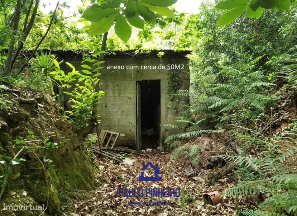 Terreno Baguim do Monte - Grande imagem: 5/12