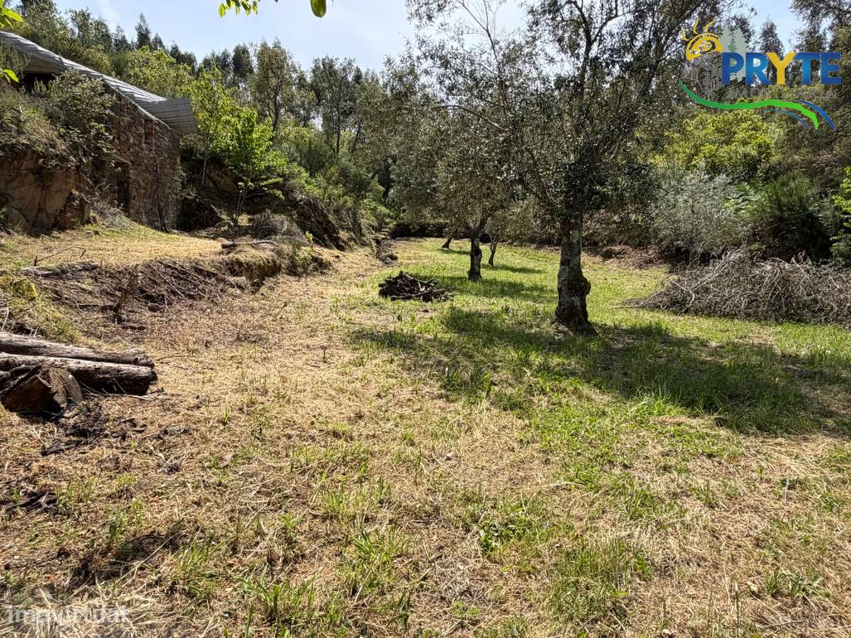 Terreno com uma ruína não registada a 6 quilómetros da Sertã-40