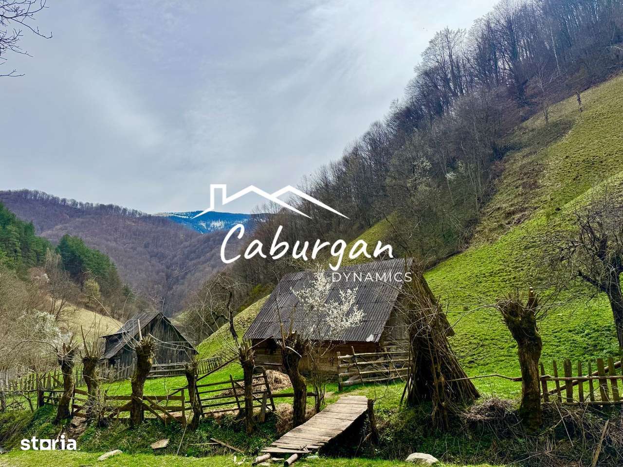 Teren intravilan + faneata, ideal pentru investitie - Rau Sadului-3