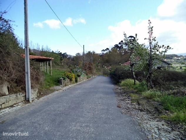Terreno Rústico  Venda em Luzim e Vila Cova,Penafiel