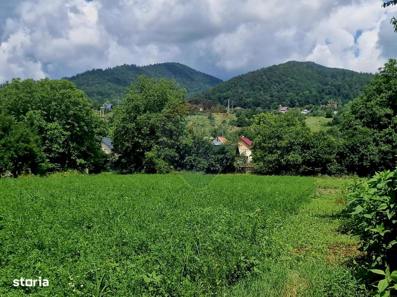 Teren 2743 mp, 2 fronturi, asfalt – Viișoara, Neamț - Imagine principală: 2/20