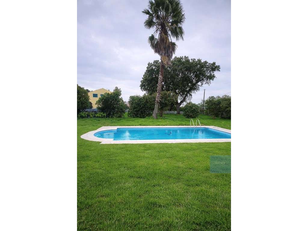 Moradia T3 com Piscina em Salvaterra de Magos - Grande imagem: 5/28