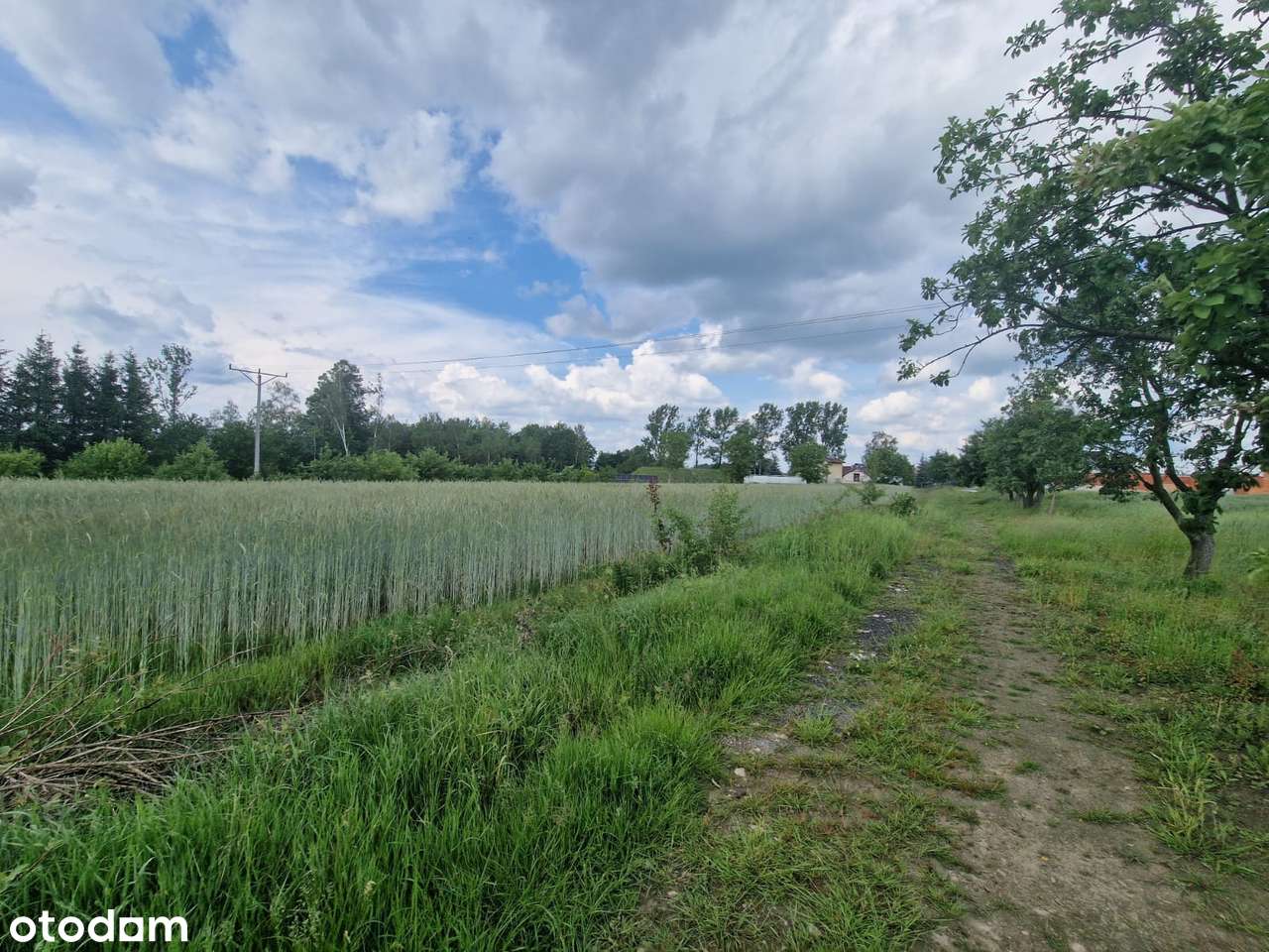 Działki budowlane w Nowogrodzcu-5