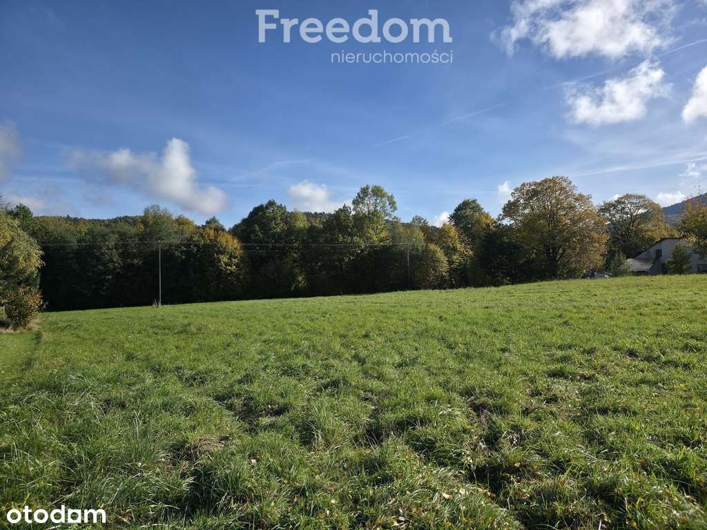 Atrakcyjna działka usługowa dla inwestora - Pełny obrazek: 4/8