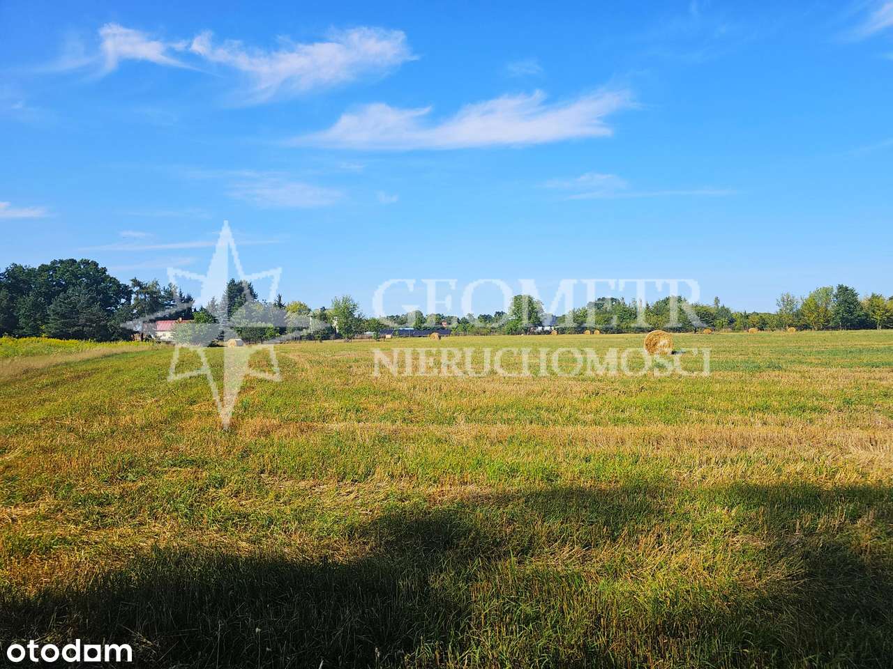 działka budowlana - przyroda, zieleń - Pełny obrazek: 4/4