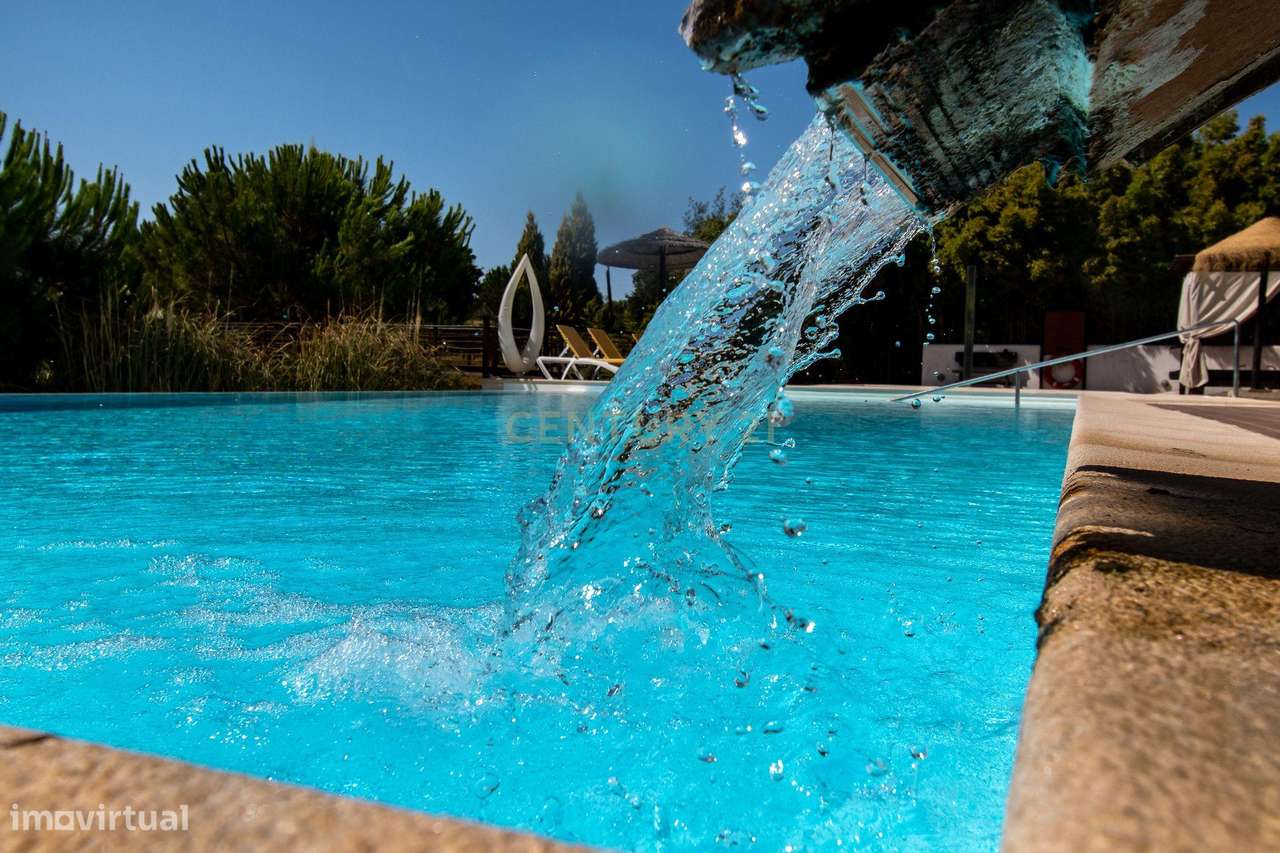 HERDADE COM RENDIMENTO, NO LITORAL ALENTEJANO - Grande imagem: 4/60