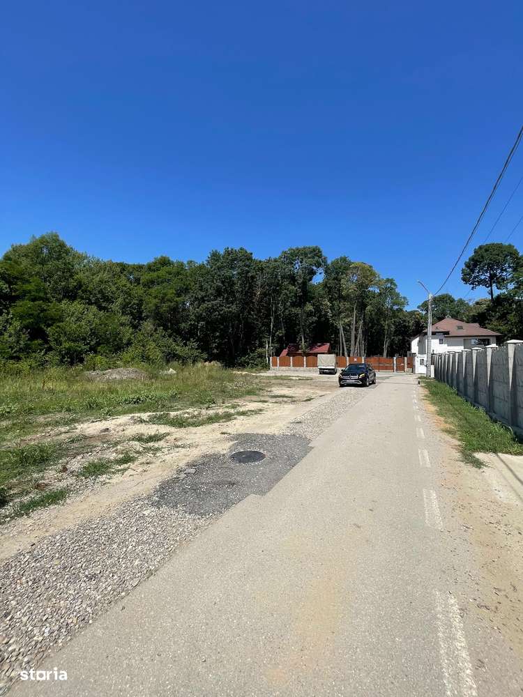 Ordoreanu, Clinceni, Padure-0