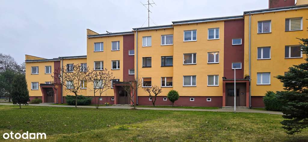 Piła, 72 m², 4 pokoje, 1 piętro – Wieniawskiego-10
