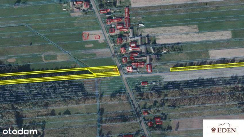 Grunt budowlano-rolno-leśny 2,9825 Ha, Rosy, gmina Stoczek Łukowski - Pełny obrazek: 4/6