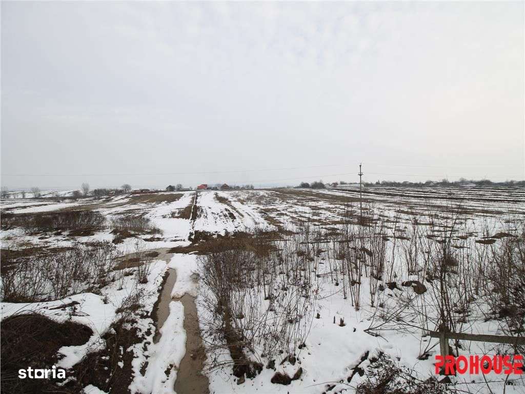 Dumbrava - 12.172mp - extravilan - Imagine principală: 3/3