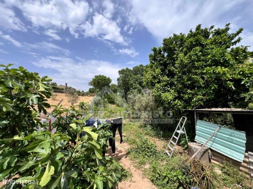 Moradia T3 pronta a habitar em Pedrógão Grande-16