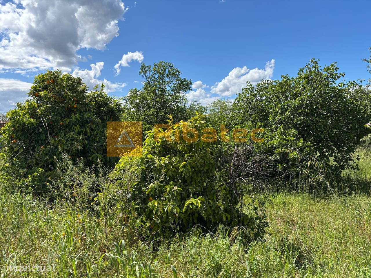 Terreno  Venda em Coruche, Fajarda e Erra,Coruche-5