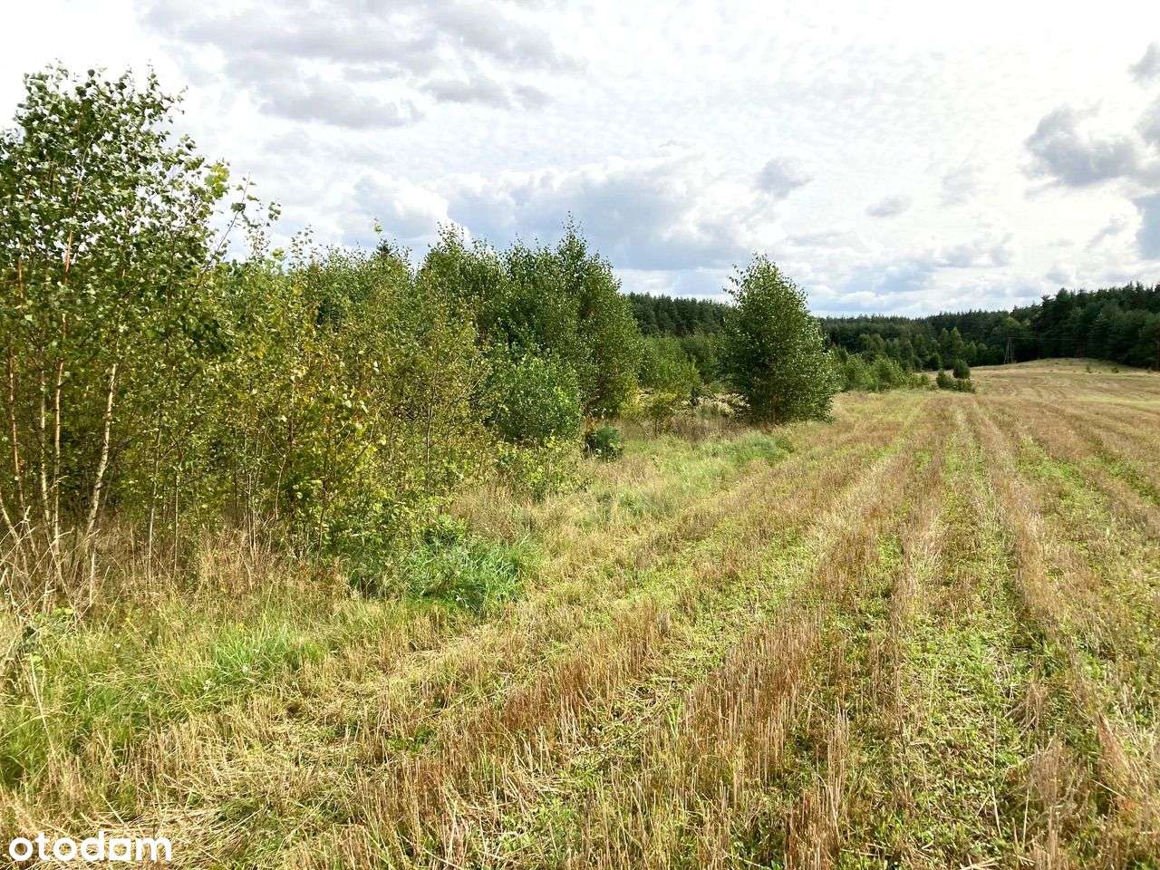 Działki Szteklin - OKAZJA wydane WZ-4