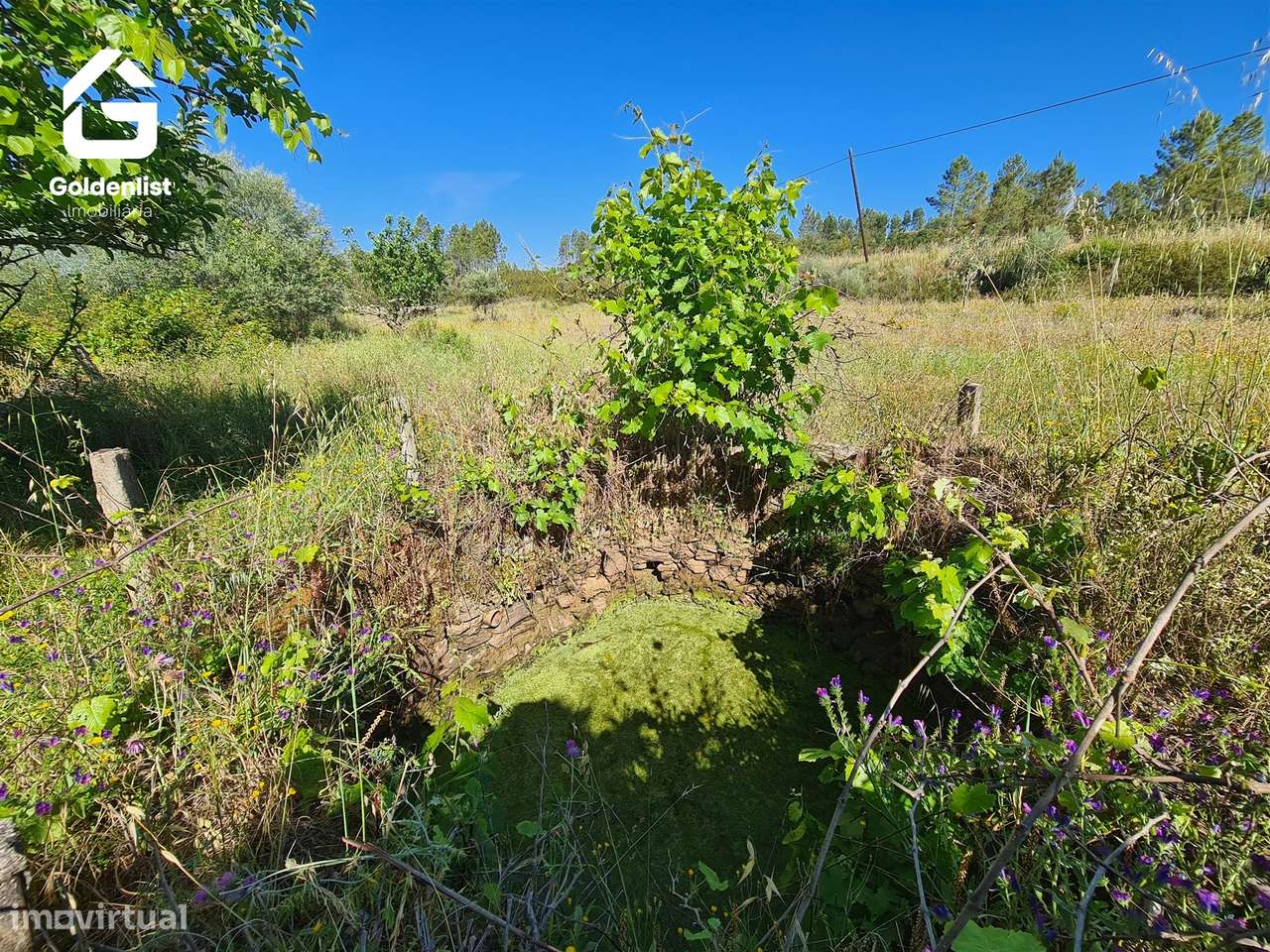 Quinta  Venda em Sarnadas de Ródão,Vila Velha de Ródão-5