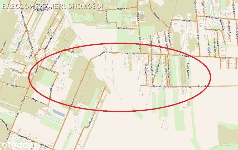 Żółwin, działka inwestycyjna, 127 200 m2.-0