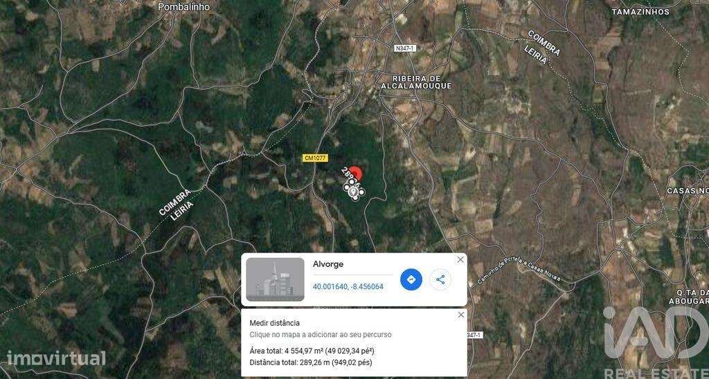 Terreno em Alvorge de 4550,00 m2 - Grande imagem: 5/9