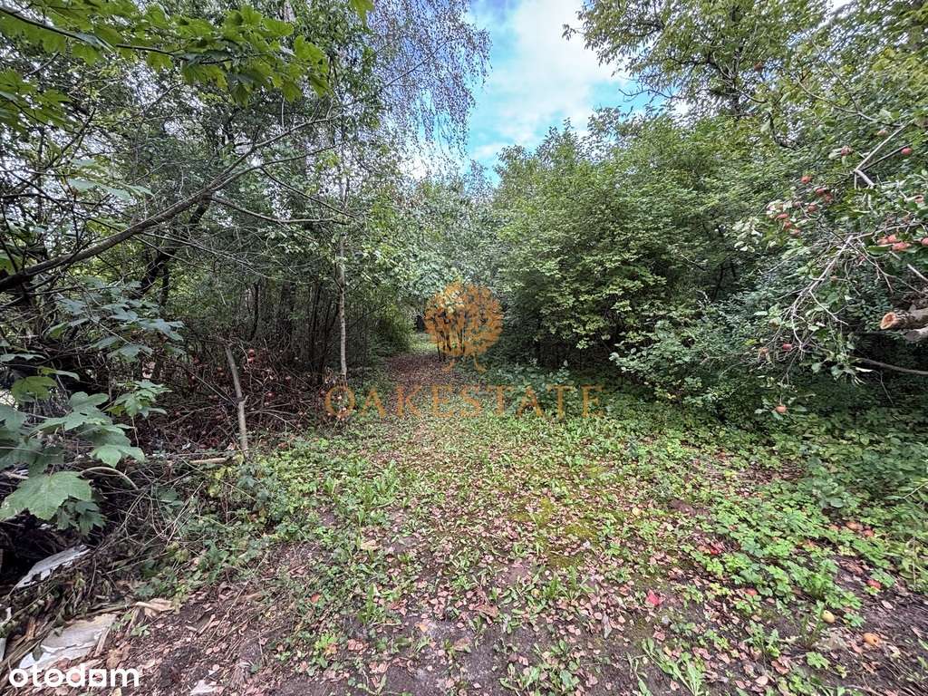 Działka budowlana 2761 m² w Chęcinach - Pełny obrazek: 3/7