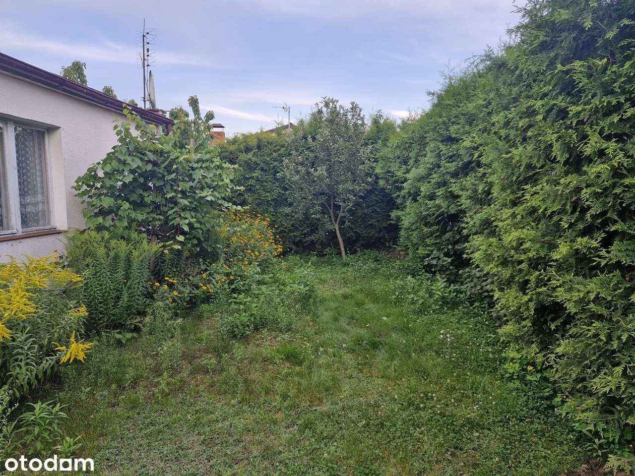 Działka, 308 m², Prądocin - Pełny obrazek: 4/11