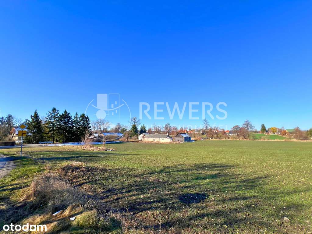 Działka rolno-budowlana – 2734 m² – Bystrzejowice - Pełny obrazek: 4/4