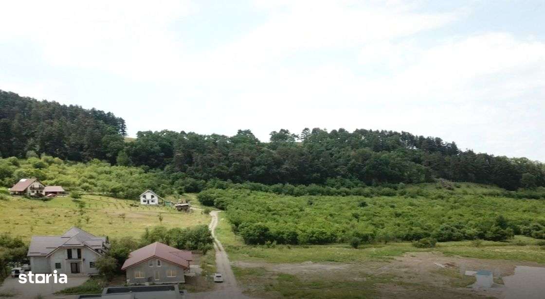 Vand teren intravilan Sanpetru la poalele Dealului Lempes-7