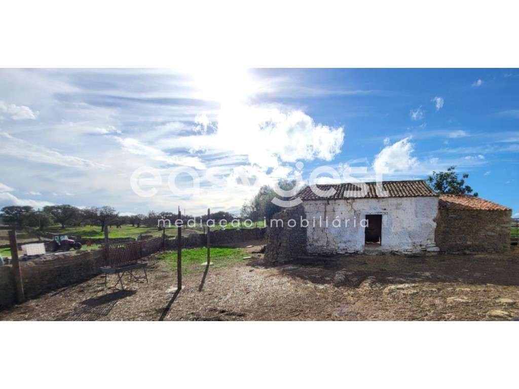 Monte Alentejano c/ moradia - 43h em Ourique - Grande imagem: 5/40