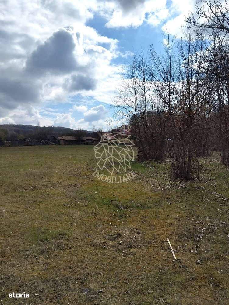 Teren 3700 mp - vedere panoramic - Zona Str. Ghinzii - Imagine principală: 4/4