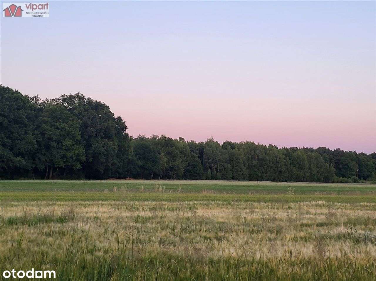 Działka, 17 729 m², Tychy-1