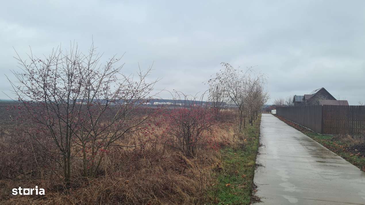 Teren premium rezidential sau industrial 26.651mp Corbeanca – acces-17