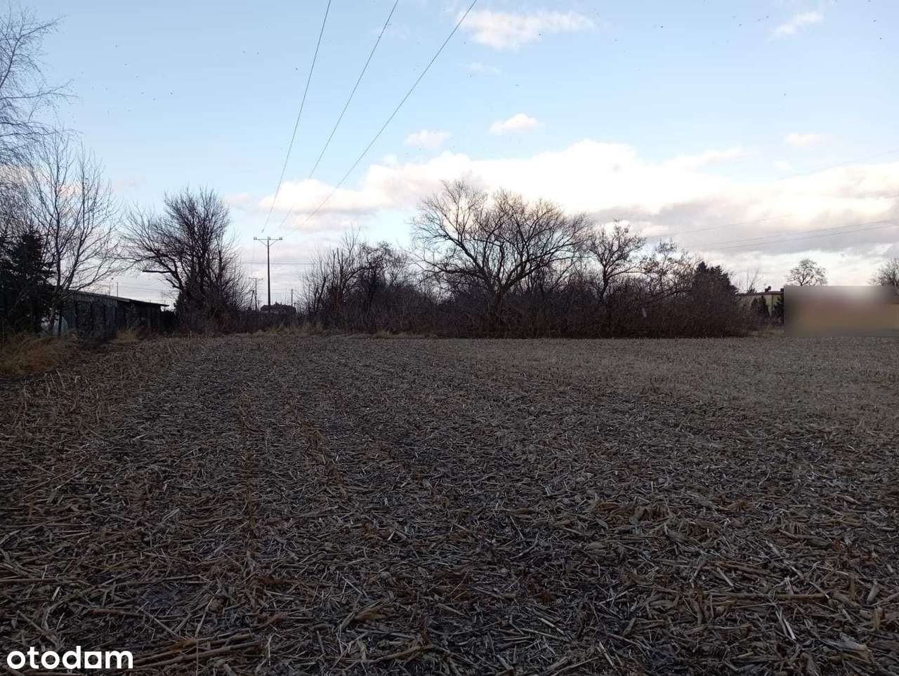 Działka inwestycyjna 3,2  ha Ożarów Mazowiecki DK92-1