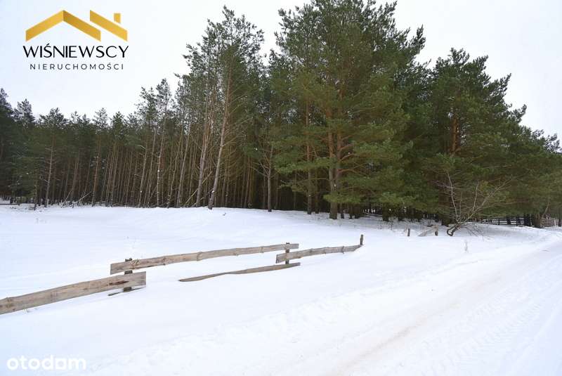 Działka budowlana 3002m2, uzbrojona z lasem-2