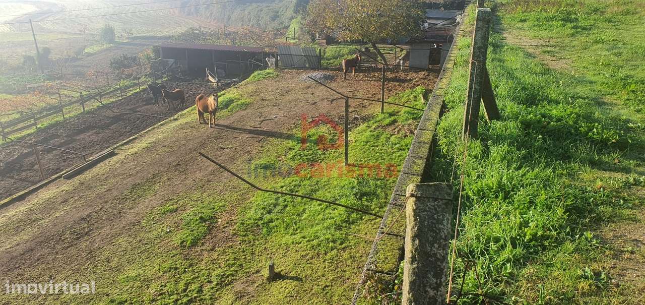 Terreno para construção com 4.340m2 em Sanfins Ferreira, Paços de Ferr-9