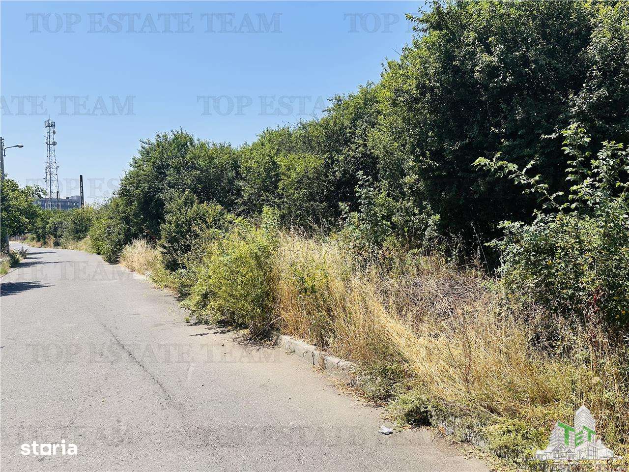 TEREN STRADAL GIULESTI, 50000 mp, la asfalt, intravilan, toate utilita - Imagine principală: 4/7