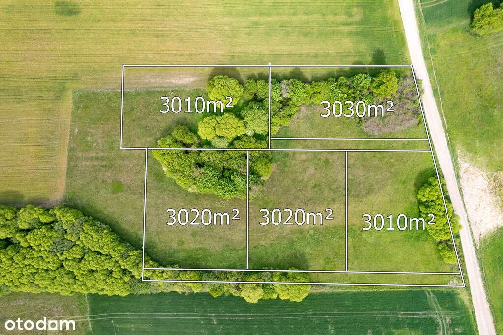 Działki rolno-budowlane** Mpzp* Ruszczany - Pełny obrazek: 3/8
