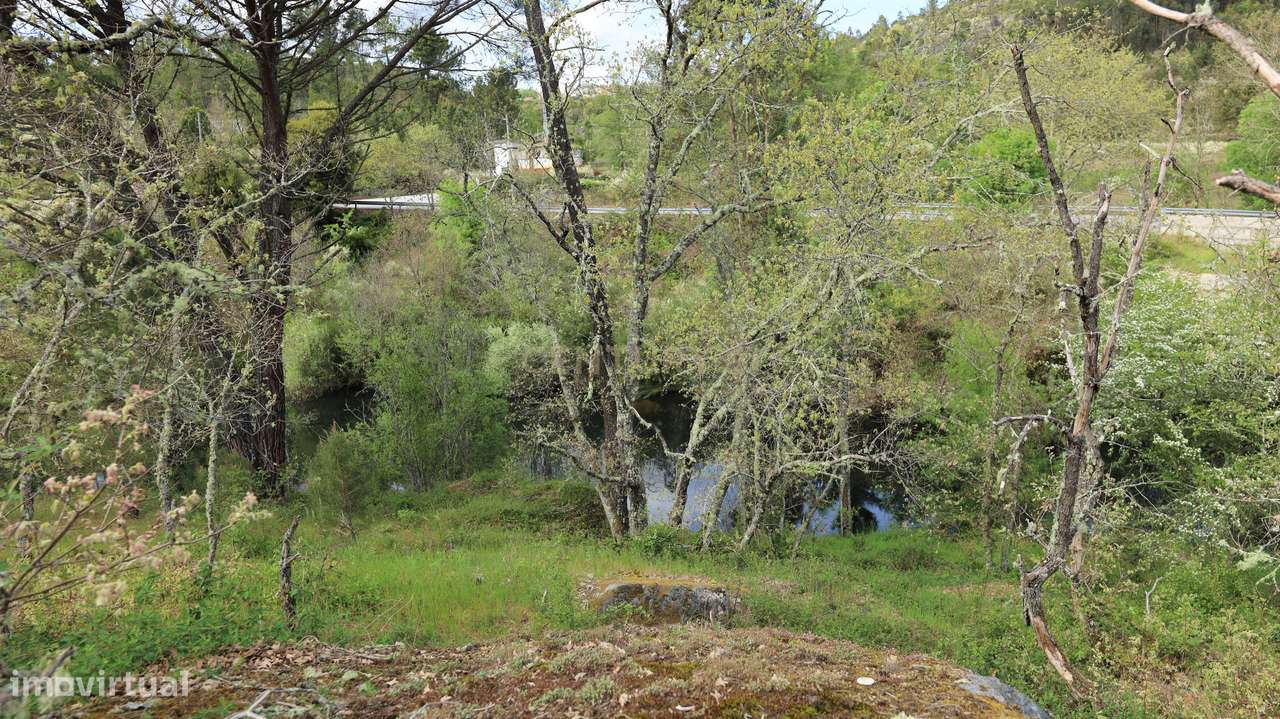 Terreno em Penalva Castelo - Grande imagem: 4/6