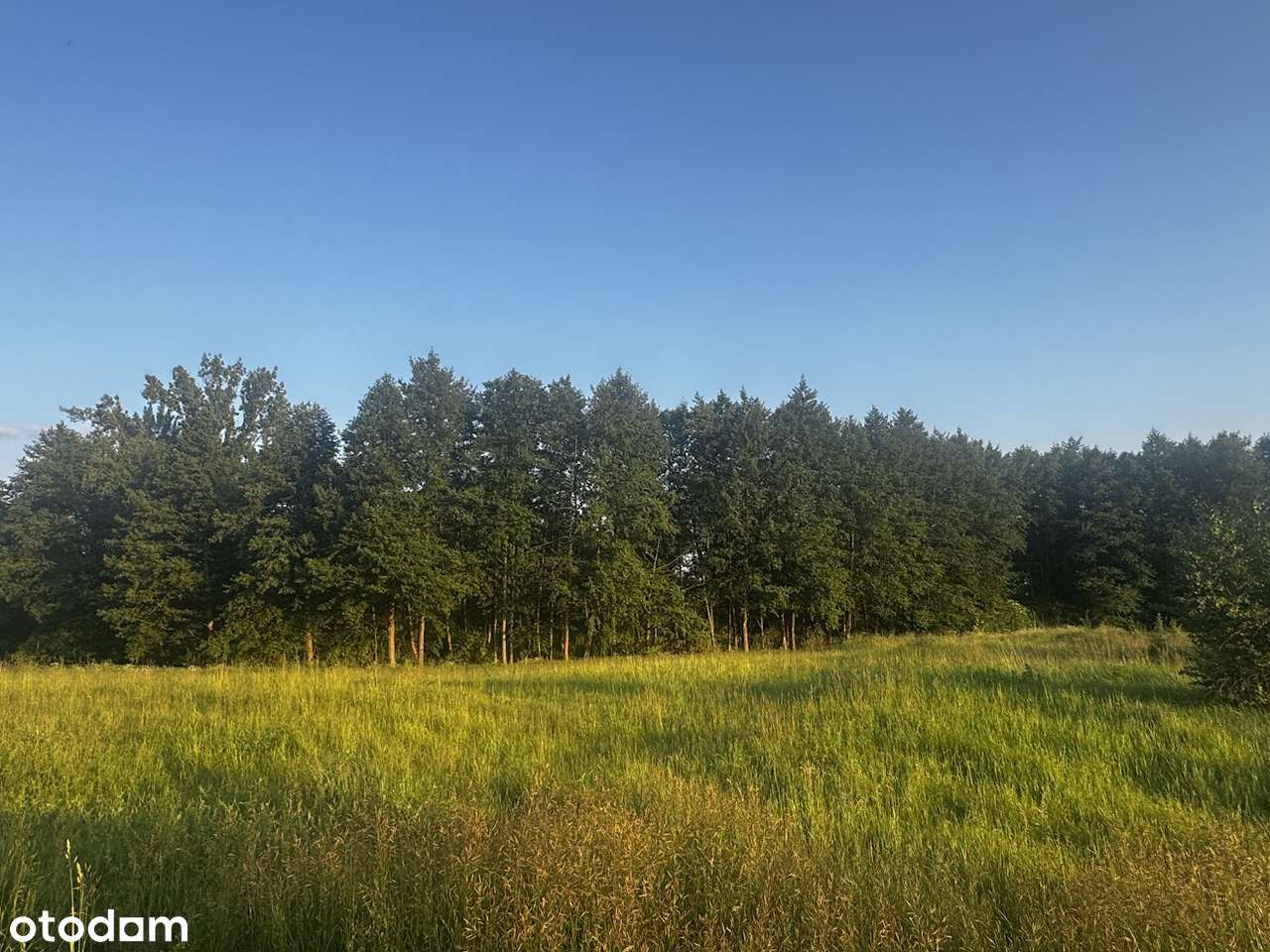 Działka budowlana w pobliżu lasu (200 metrów od jeziora)-4
