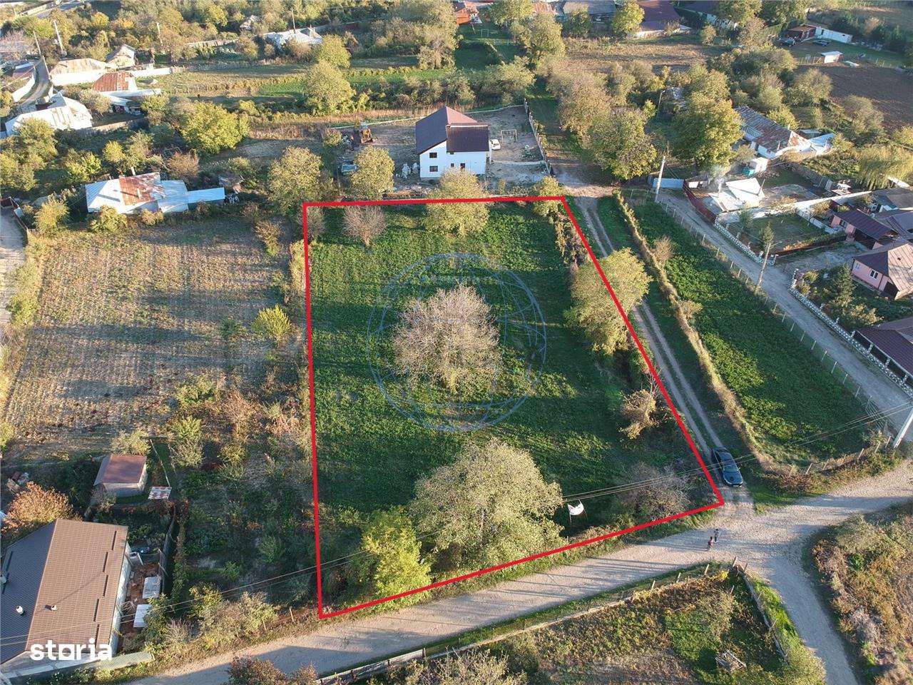 TEREN DE VANZARE BOLOTESTI - Imagine principală: 3/7