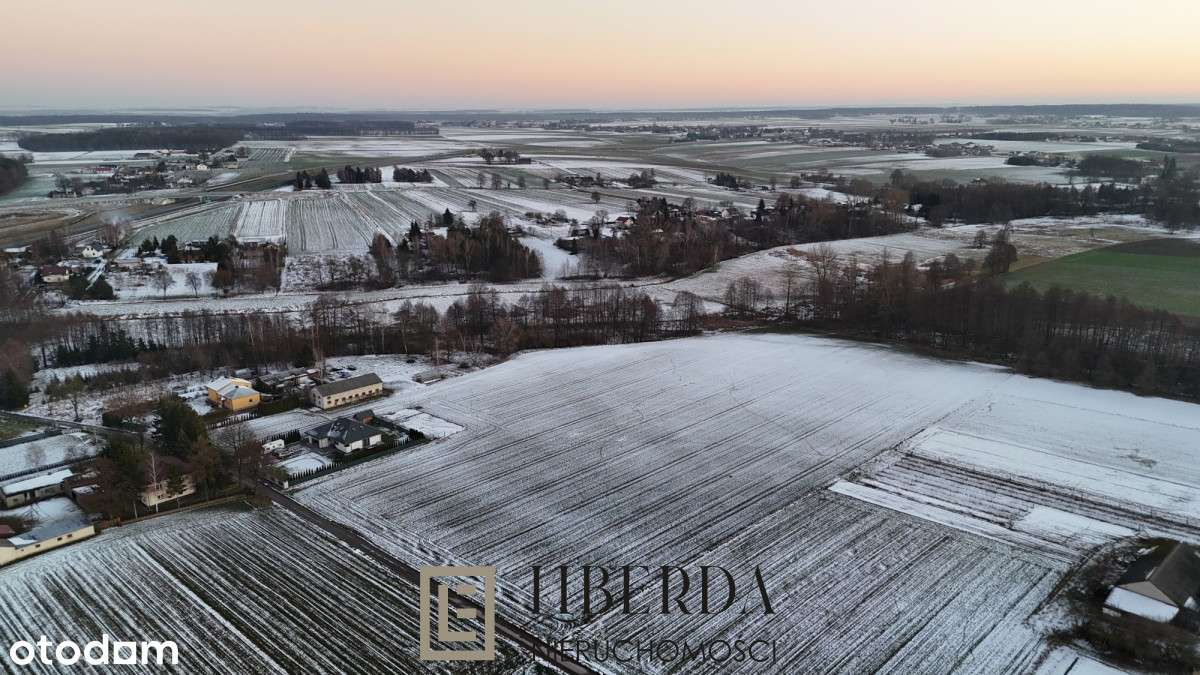 Działka budowlana 1,2 ha, Niedrzwica Duża - Pełny obrazek: 4/4