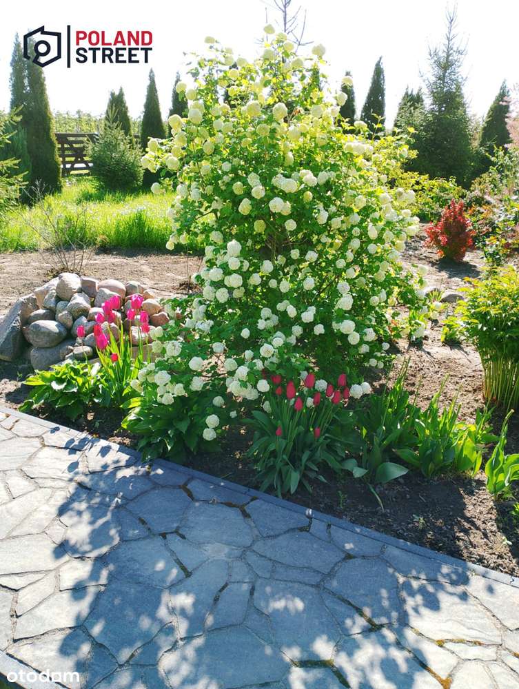 Urokliwy dom w sercu natury grunt 2,63ha-15