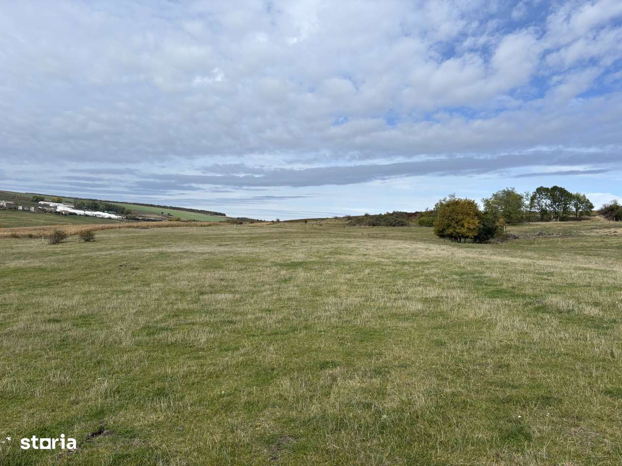 Teren Dealul Fanatelor-2