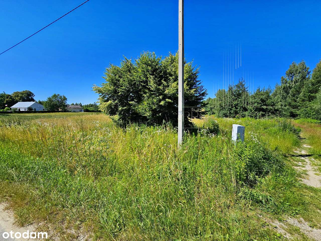 Inwestycja z Projektem GRATIS! Działka 20ar gotowa do zabudowy! - Pełny obrazek: 2/6