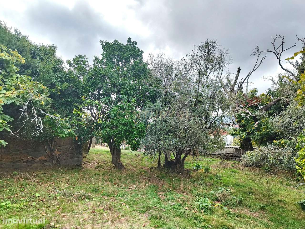 Terreno com Anexo em Samonde,Santa Marta de Portuzelo,Viana do Castelo - Grande imagem: 5/27