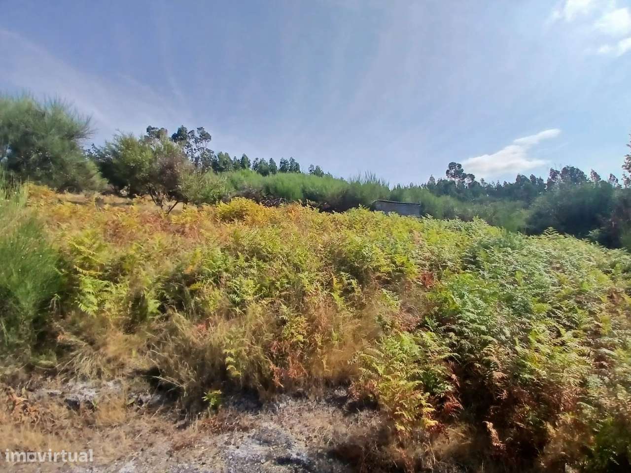 Terreno rústico com casa em pedra para recuperar – Soajo, Arcos de Val-36