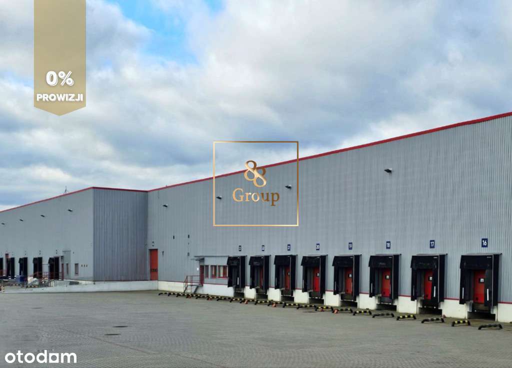 3500 m2 Baniocha Piaseczno - Pełny obrazek: 4/10