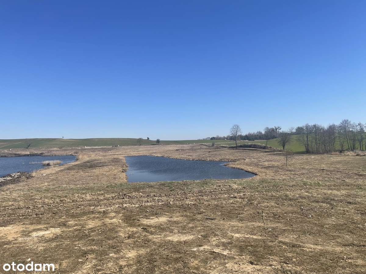 Działka z widokiem na staw, Potrzanowo - Pełny obrazek: 4/9