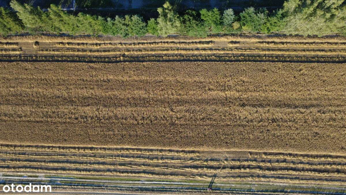 Sprzedam działkę budowlano-rekreacyjną Kicin - Pełny obrazek: 5/7