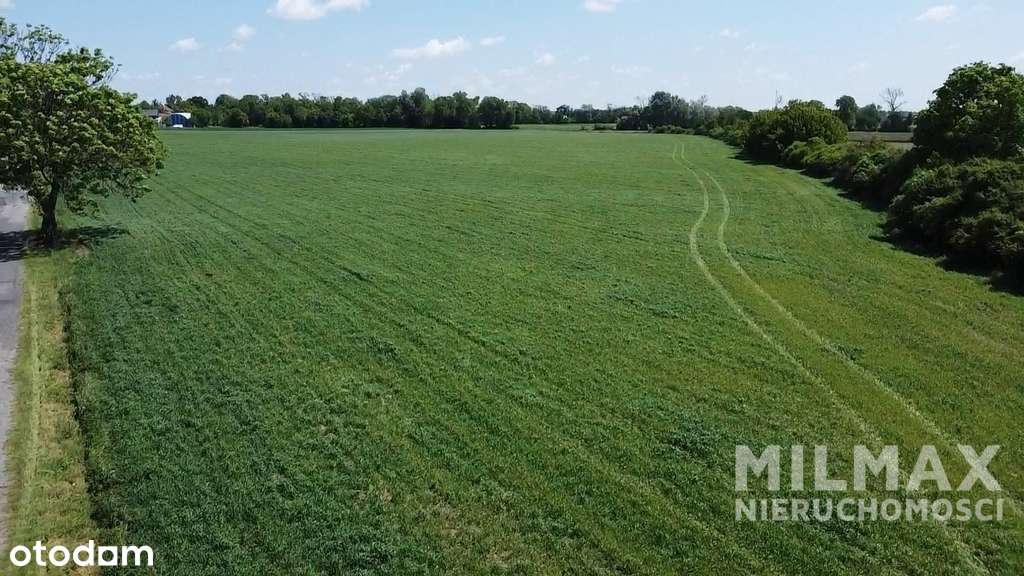 Na sprzedaż działka inwestycyjna 6,57 ha – okolice-5