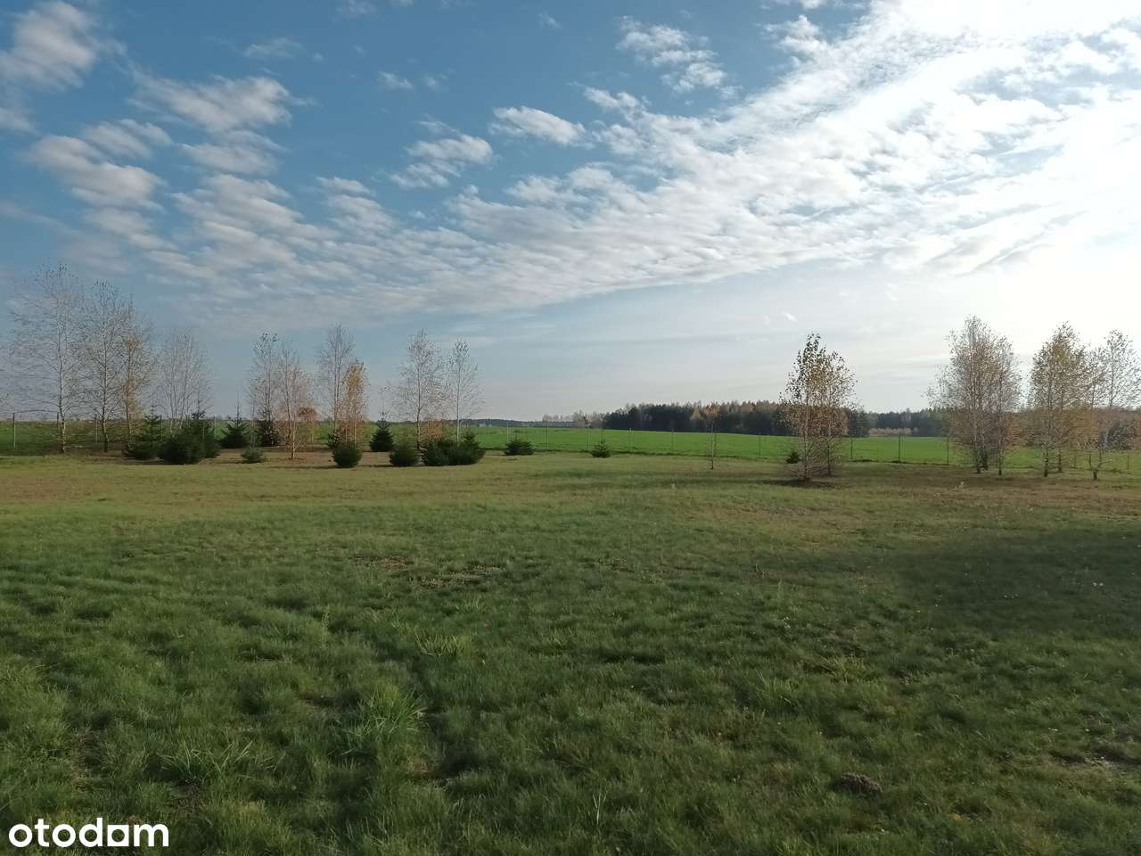 Dom Seniora na sprzedaż 40km od Warszawy! W poblizu trasy S7-17