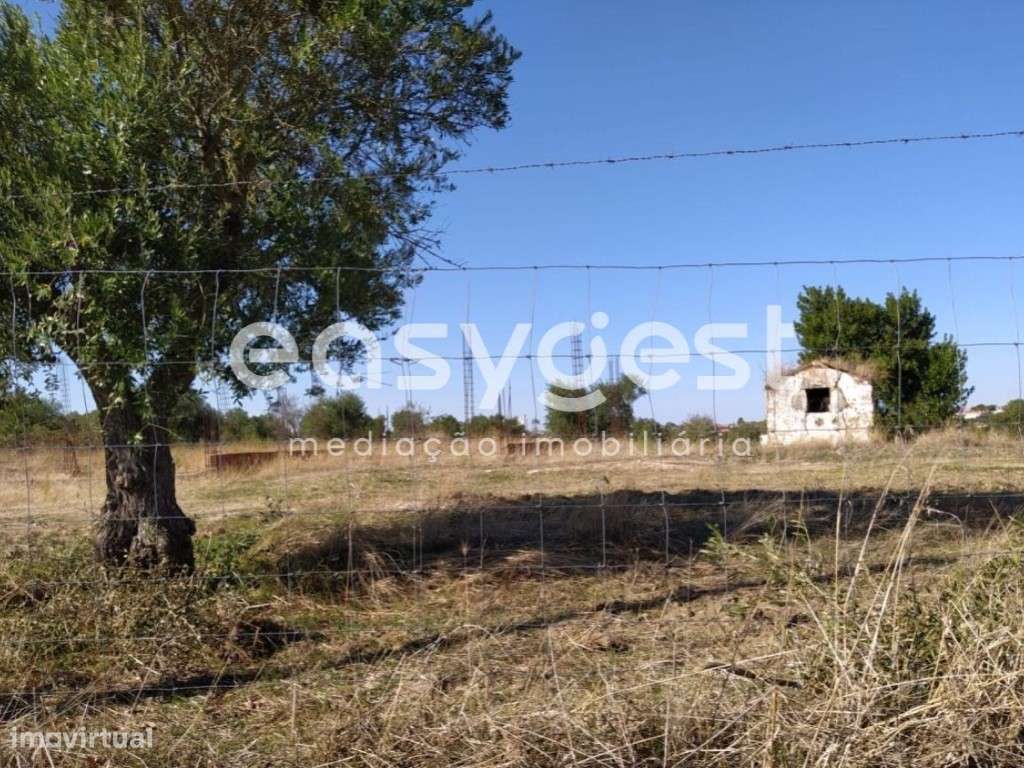 Monte em Ruinas com 2,6 hectares às portas de Reguengos de Monsaraz - Grande imagem: 5/14
