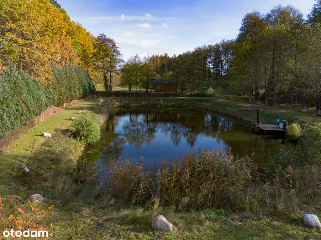 Urokliwe łowisko wędkarskie z domkiem!-7