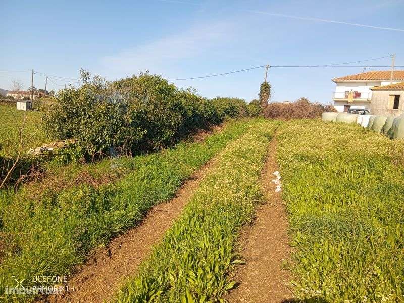 Para venda terreno com casa - Grande imagem: 5/8